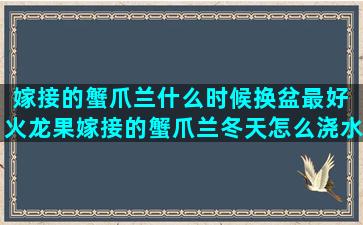 嫁接的蟹爪兰什么时候换盆最好 火龙果嫁接的蟹爪兰冬天怎么浇水